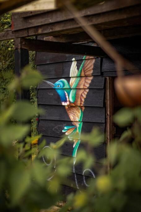 Cabana Colibri Naturaleza Vista Laguna De La Cocha Villa Pasto Exterior photo